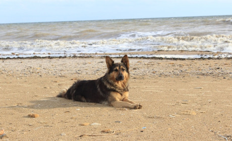 Мордочки Южного. Фотопроєкт