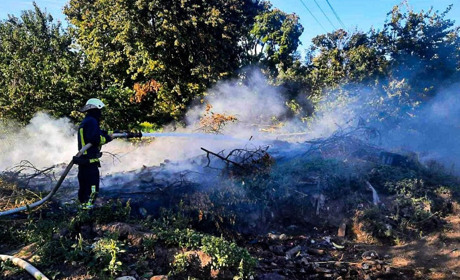 ДСНС нагадує про заборону спалювання сухої рослинності: скільки заплатить порушник