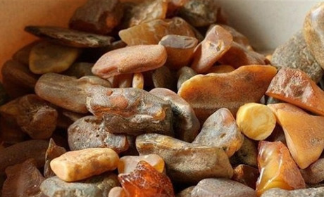 На території заповідника видобував бурштин: жителя Сарненського району судитимуть