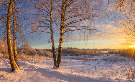 Яким буде початок грудня: прогноз погоди від синоптиків Сумщини та України