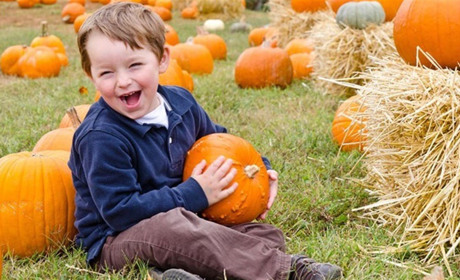 День гарбуза та відкриття майбутнього Гарвардського університету: що варто знати про 26 жовтня