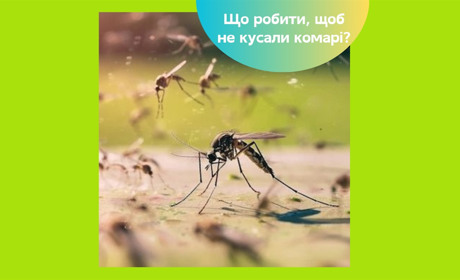 Як захиститися від комарів — перевірені способи для дому та відпочинку