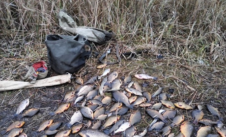На Полтавщині браконьєр наловив червонокнижних карасів