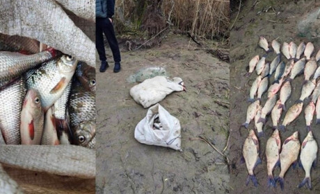 На Черкащині затримали браконьєра з уловом на понад 267 тисяч гривень