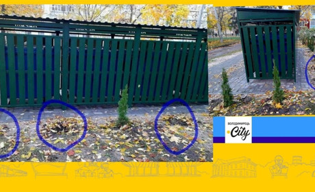 У Вараші викрали туї, висаджені комунальниками. Що відомо?