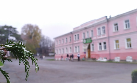 Сніг, дощ, ожеледиця, вітер: прогноз погоди в Умані на другу половину останнього тижня листопада