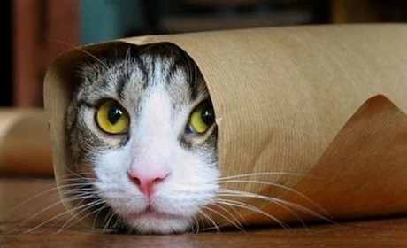 Проблемы со сном в октябре? Вспомните о магнитных бурях