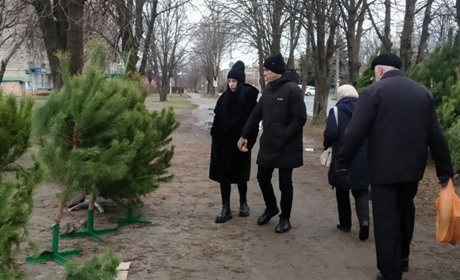 Де у Жовтих Водах придбати живу ялинку та які ціни: огляд
