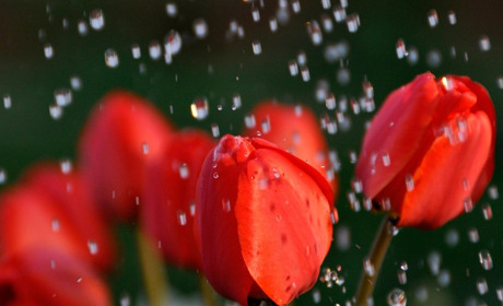 Візьміть із собою парасольку: на вихідних дощитиме