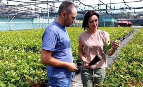 У Славуті сумські науковці переймали досвід місцевих лісівників