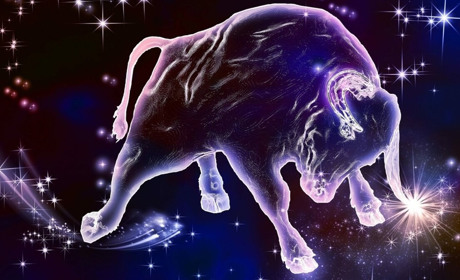 Що Бик прийдешній нам готує: жартівливий гороскоп на 2021 рік за знаками Зодіаку