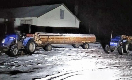 У Вараському районі поліцейські «на гарячому» впіймали крадіїв лісу