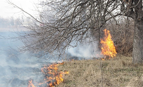 Рятувальники виявили обгоріле тіло жінки, яка самостійно намагалася загасити траву