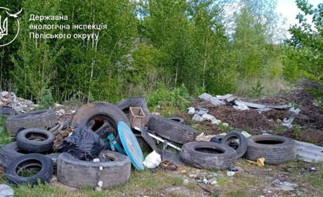 У Стриївській громаді виявили стихійне сміттєзвалище: місцева влада отримала вимогу діяти