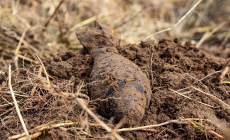 Піротехніки знешкодили небезпечні знахідки