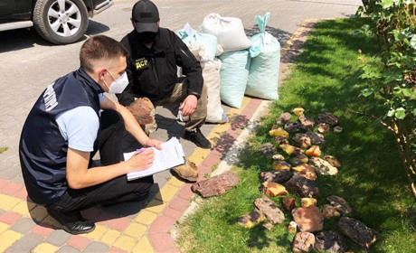 На Володимиреччині поліцейські вилучили бурштину на 30 мільйонів гривень