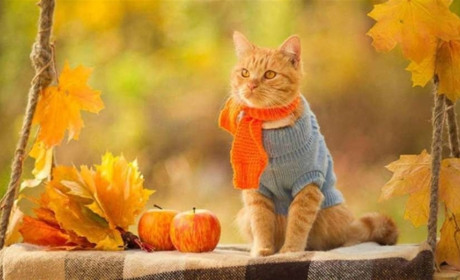 Погода на Сумщині та в Україні на найближчі дні від синоптиків