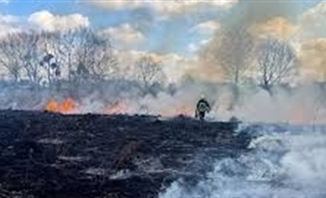 У Шосткинській громаді посилюють контроль за спалювання сухостою