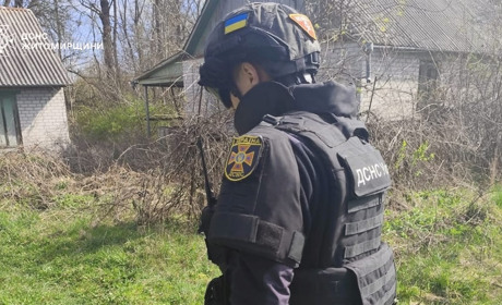 Снаряд на городі: на Звягельщині під час земляних робіт місцеві виявили небезпечну знахідку