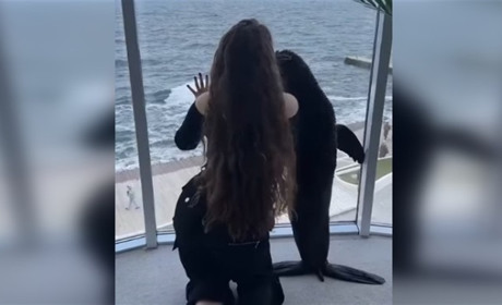 "Жопний контент". В Одесі стався скандал через ролики з морськими котиками в TikTok (відео)