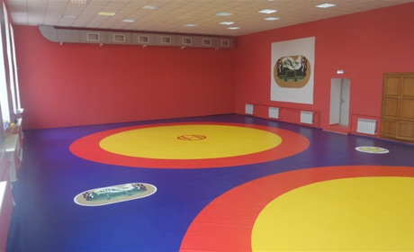 Зал для единоборств - критерии выбора