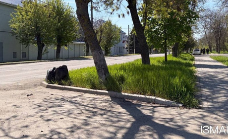 Ізмаїл долучився до відзначення Дня довкілля в Україні