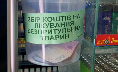Кременецькі волонтери розпочали акцію із збирання коштів на стерилізацію безпритульних тварин