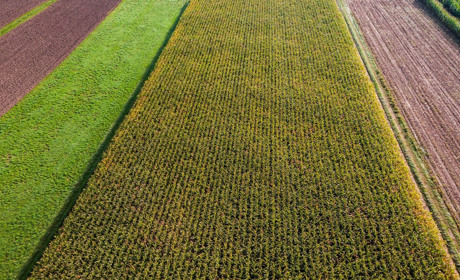Від держави — до громад. Що означає президентський указ про передачу сільськогосподарських земель?
