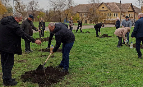Чиновники Нової Каховки висадили 10 саджанців лип у Кривому Розі