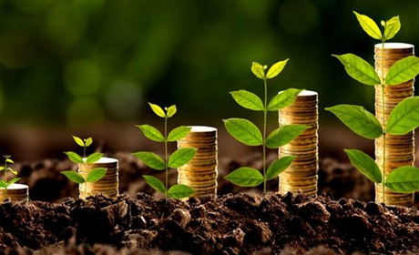 Постраждалі від війни малі та середні підприємства Білопільщини можуть отримати гранти