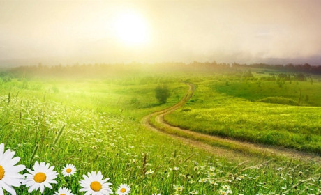 Вихідні на Сумщині будуть сухими та спекотними: прогноз погоди на 5-7 липня