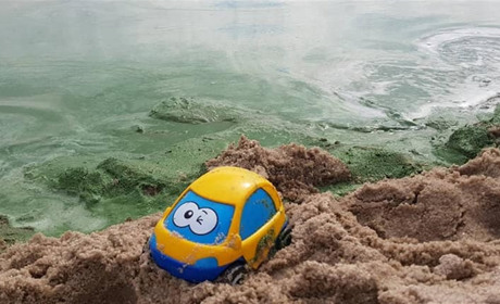 Небо, сонце і кишкова паличка: купатися на міському пляжі Нікополя небезпечно