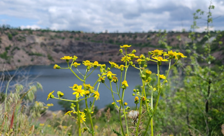 Де безпечно відпочити на природі в Україні та на Миколаївщині зокрема: зорієнтує інтерактивна мапа