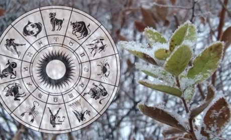 Гороскоп на тиждень з 12 по 18 січня 2026 року: що зірки нам приготували