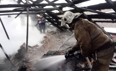 Вогнеборці, лісівники та місцеві жителі гасили пожежу в житловому будинку на Звягельщині