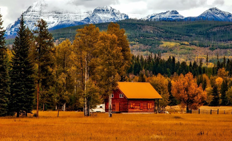 Золота осінь: складіть із пазлів п’ять осінніх пейзажів