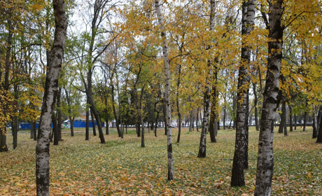 Щоденний дайджест від Золотоноша.City: зустрічаємо новий день – 9 листопада 2021 року