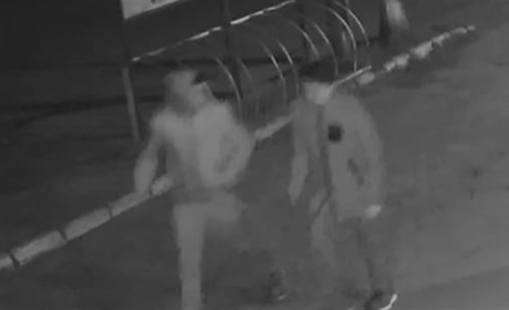 У Новограді-Волинському правоохоронці розшукують свідків ДТП