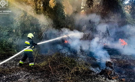 На Черкащині рятувальники ліквідували сім пожеж на відкритих територіях