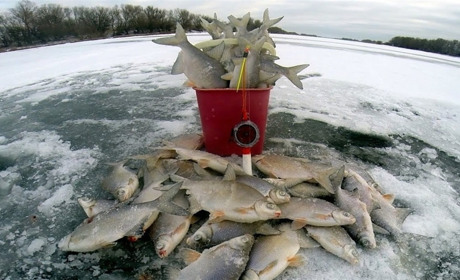 З 1 листопада вводиться заборона вилову водних біоресурсів на зимувальних ямах