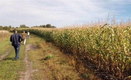 Вбивство на польовій дорозі на Одещині: поліція розшукала зловмисника