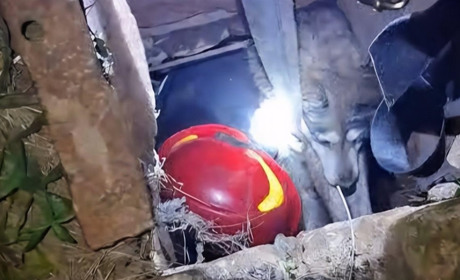 Рятувальники Ізмаїльщини та Одеси за день визволили двох собак із пасток