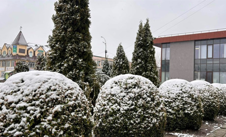Відбудеться засідання звягельського виконкому: який порядок денний