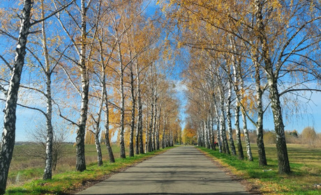 “Ми, вимушені переселенці з Херсонщини, у Переяславі почувалися як удома”, — Любов Рудя