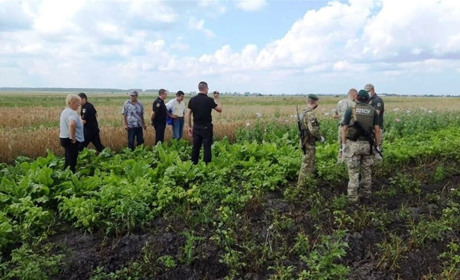 Понад 4,5 тисячі рослин маку поліцейські разом із прикордонниками вилучили у Сокальському районі 