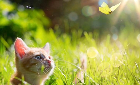 І знову - про погоду. Чого нам чекати на Сумщині та в Україні?