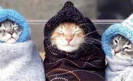 Похолодало... Сумські синоптики обіцяють заморозки