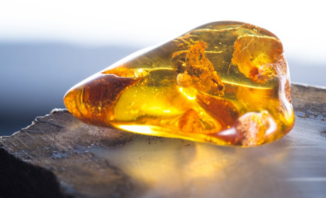 На Володимиреччині судитимуть нелегальних бурштинщиків