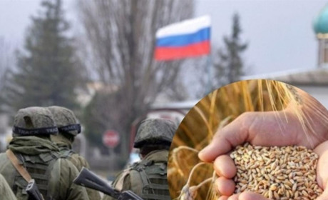 Викрали пшениці на мільйон гривень: прокуратура розслідує злочини окупантів на Мелітопольщині