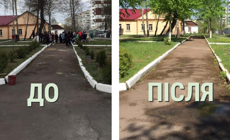 У ліцеї №4 вкрали 40 туй